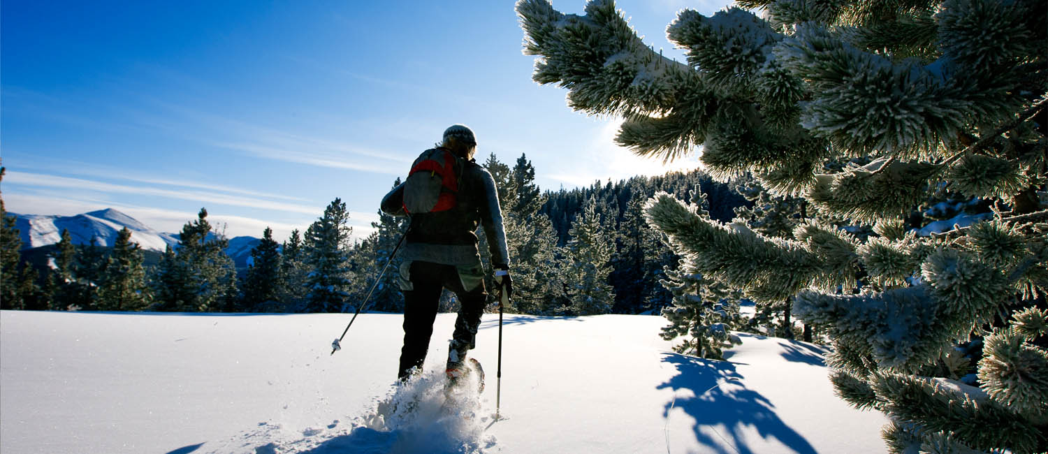 Banff Real Estate Homes & Condos for Sale Beres, Sparks, & Wiegand